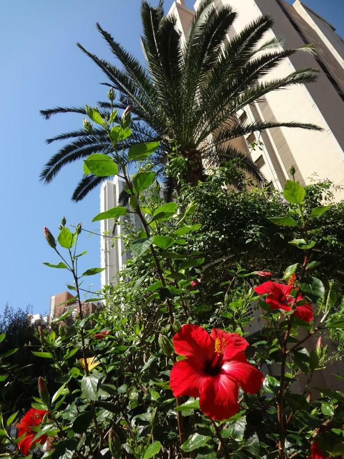 Best View - Welcome Penthouse Apartamentos Karola Benidorm Exterior foto